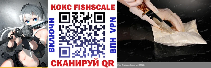 купить  цена  Тулун  Кокаин FishScale 