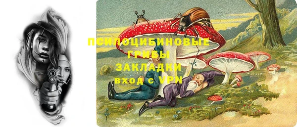 сатива Зерноград