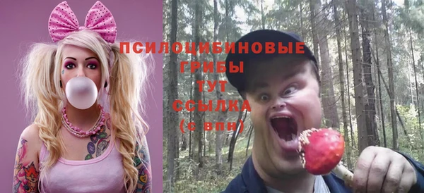 гидра Зеленокумск