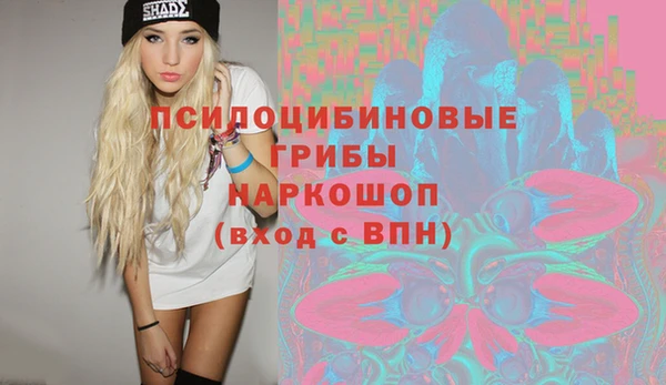гидра Зеленокумск