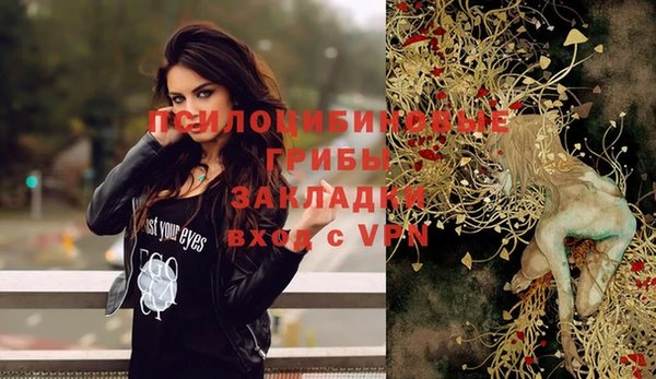 крисы Ханты-Мансийск