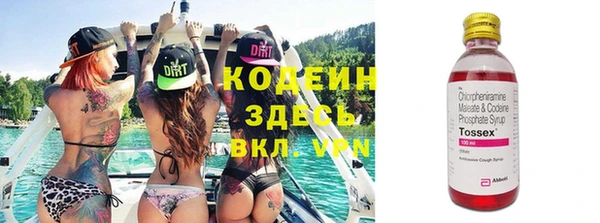 дживик Сосновый Бор