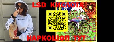 PSILOCYBIN Нальчик