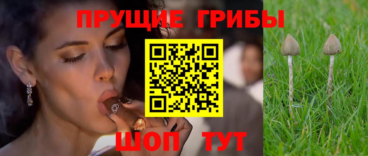 цены наркотик  Вход с VPN  Тулун  Галлюциногенные грибы мицелий 