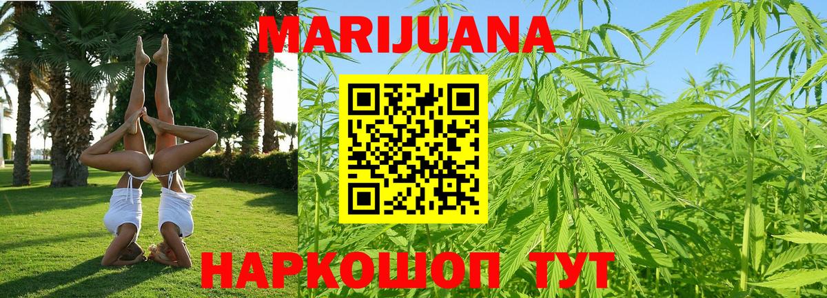 Тулун  Бошки марихуана OG Kush  Бошки Шишки OG Kush  Канабис индика  Вход с VPN 